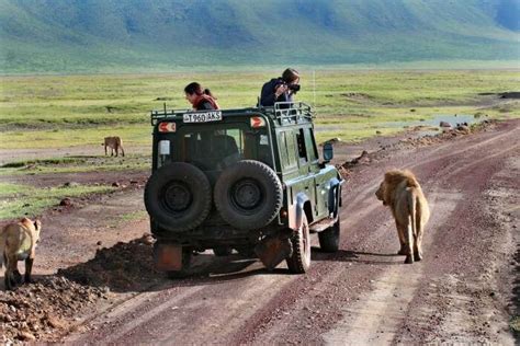 Transaktion Schneewittchen Wir sehen uns big 5 safari western cape ...