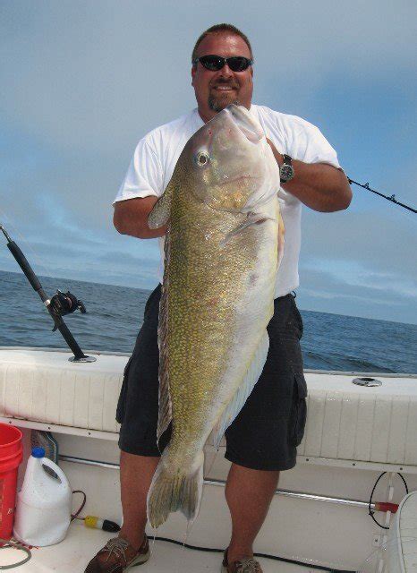 Recreational Tilefish Permitting and Reporting — Mid-Atlantic Fishery Management Council