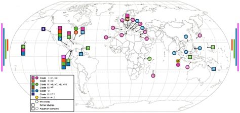 World Placozoa Database - Intro