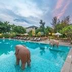 Ranthambhore Kothi holiday accommodation in India, Asia | Wildlife Worldwide