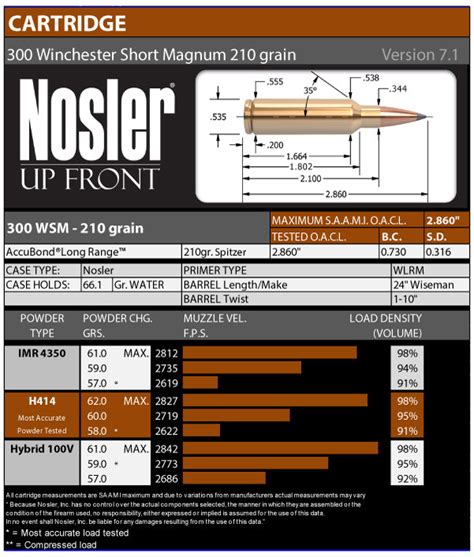 300 WSM — Nosler