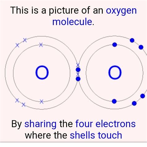 Drawing the structure of the oxygen molecule - Brainly.in