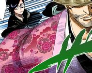 Shunsui Kyōraku | Bleach Wiki | Fandom