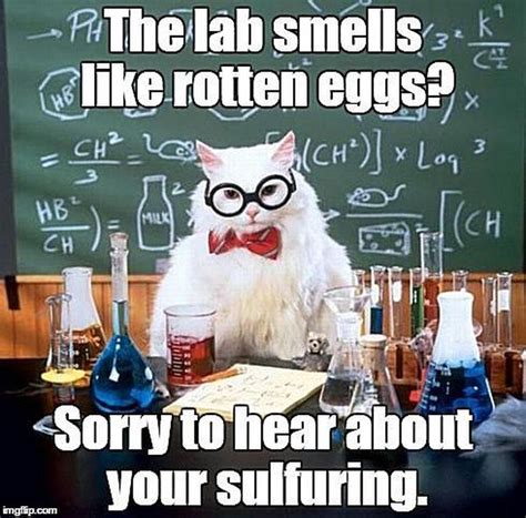 The Best of the Chemistry Cat Meme | Chemistry puns, Chemistry cat, Chemistry jokes