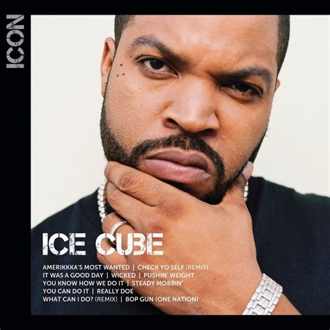 Ice Cube - Icon - Reviews - Album of The Year