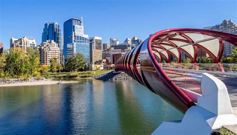 Learn about the exciting history of Calgary