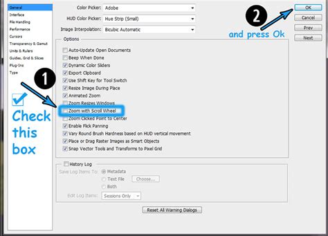 HOW TO ZOOM WITH SCROLL WHEEL? - ToolTutorial