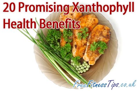 20 Promising Xanthophyll Health Benefits - Free Fitness Tips