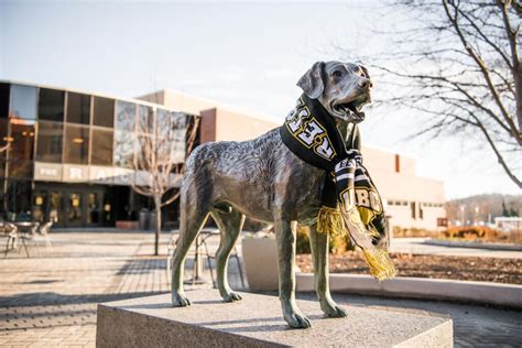 Apply To UMBC - UMBC: University Of Maryland, Baltimore County