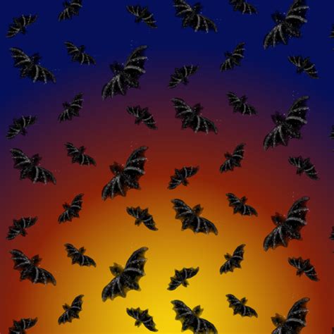 Flying Bats Background Free Stock Photo - Public Domain Pictures