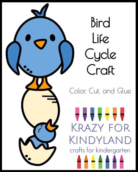 Bird Life Cycle Activity, Craft for Spring, Summer Science Center