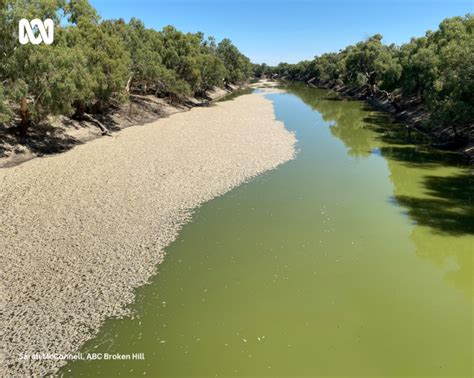 Menindee Lakes community update - WaterNSW