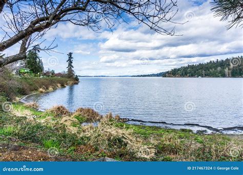 Park Lake View 5 stock photo. Image of bench, nature - 217467324