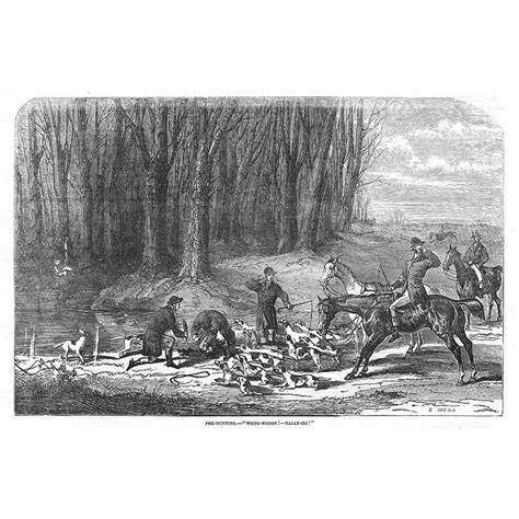 Fox Hunting Scene - Whoo-Whoop! And Tally-Ho! - Antique print 1855 | Fox hunting, Antique prints ...