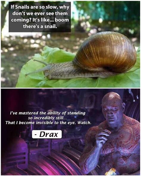 The best snail memes :) Memedroid