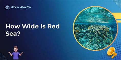 How Wide is Red Sea? Unveiling Majestic Breadth