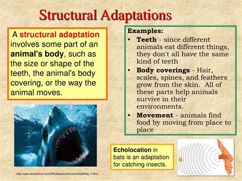 PPT - VA SOL 4.5 PowerPoint Presentation, free download - ID:1695947