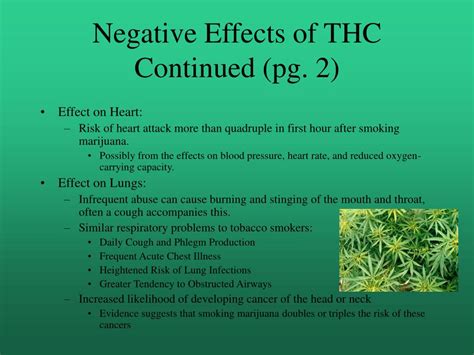 PPT - Toxicology of Tetrahydrocannabinol (THC – The Active Ingredient in Marijuana) PowerPoint ...