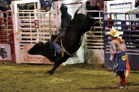 Speidel's Adventures: Lehi Roundup Rodeo Bull Riding, June 30, 2012