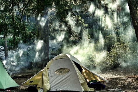 Camping in the Yosemite Valley at Yosemite National Park, California image - Free stock photo ...