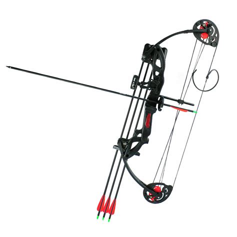 Kids Youth Compound Bow and Arrow Set 15-29lbs for Right Hand Beginner Archery | eBay