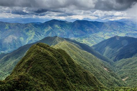 Podocarpus, Ecuador | National parks, Ecuador landscape, Ecuador