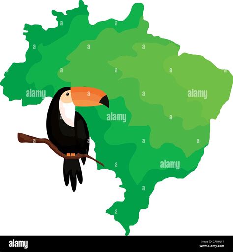 toucan animal exotic with map of brazil Stock Vector Image & Art - Alamy