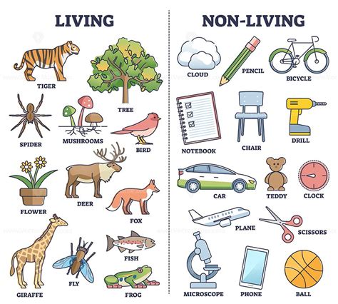 Living vs non living things comparison for kids teaching outline diagram in 2023 | Teaching ...