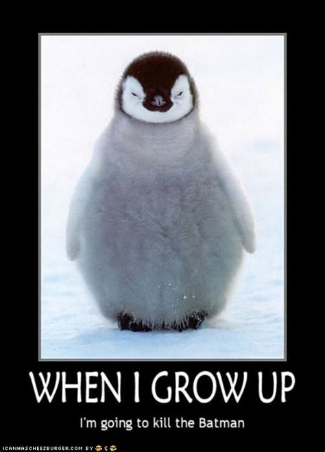 Funny Quotes About Penguins. QuotesGram