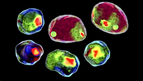 Flow-Cytometry-Imaging | MISUMI Mech Lab Blog