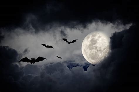 Royalty Free Spooky Pictures, Images and Stock Photos - iStock