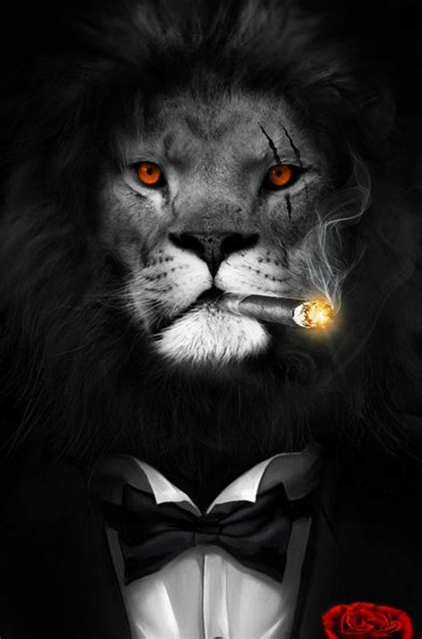 Black Lion With Red Eyes