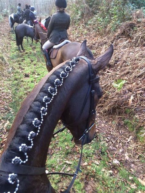 Horse Braids: 10 Braided Manes Every Equestrian Will Envy | Horses, Horse braiding, Cute horses