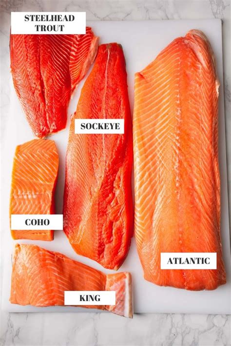 Salmon Varieties: A Complete Guide to Salmon ~Sweet & Savory