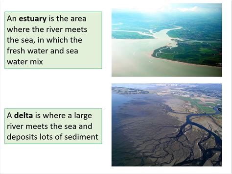 Deltas and Estuaries - Geography | Teaching Resources