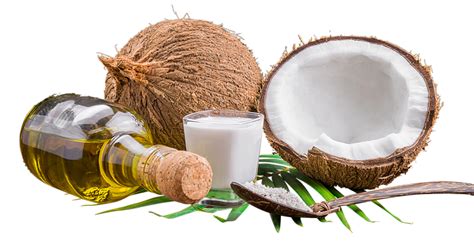 About Us - Millennium Specialty Coconut Products Inc