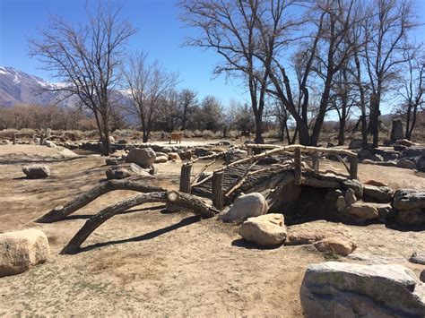 The Illustrated Plant Nut: The Gardens of Manzanar