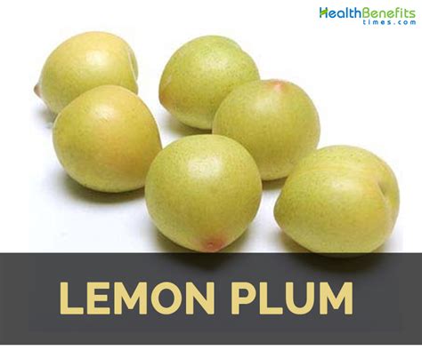 Lemon Plum Facts and Health Benefits