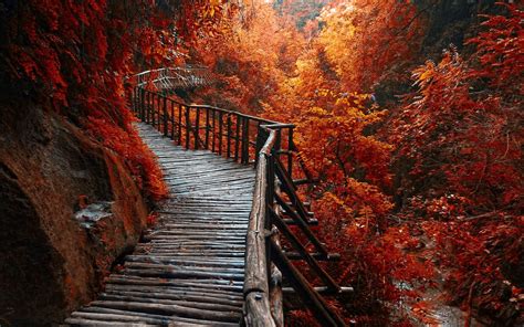 Beautiful Walkway Wallpapers - Wallpaper Cave