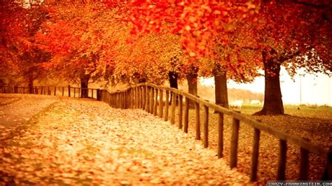 Beautiful autumn wallpaper | 1920x1080 | #29447