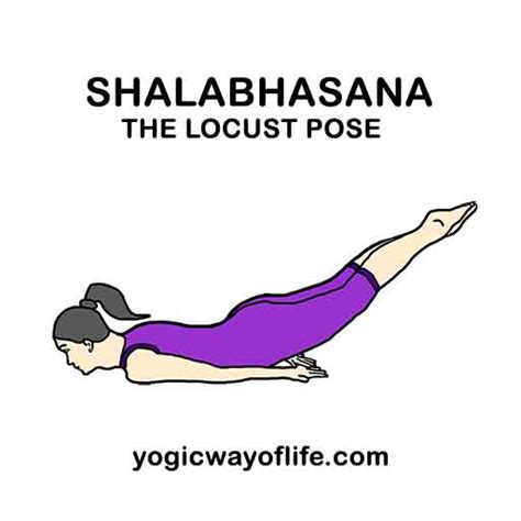 Shalabhasana (Locust Pose) - Yoga Asana to strengthen Lower Back