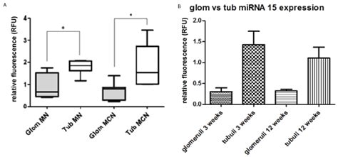 In Glomerular Disease, Urinary microRNA15a is A Biomarker for Inflammatory Signaling Mediated by ...