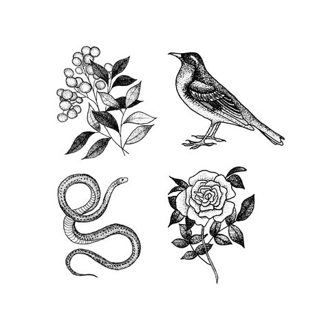 Flora and Fauna Set by Tea Leigh from Tattly Temporary Tattoos