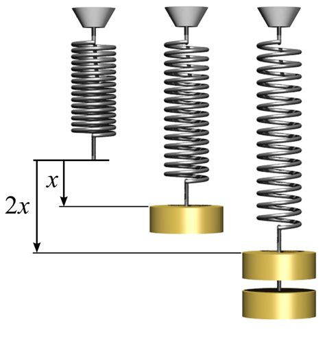 Physics:Hooke's law - HandWiki