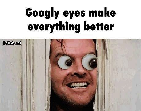 googly eyes | Funny animal memes, Celebrity names, Funny signs