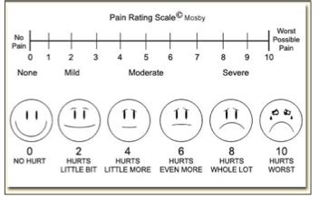 Sensory receptors and nociceptors Part 3: Nociception & Pain Flashcards ...