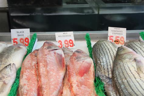 Free stock photo of fish, fish market, market