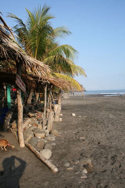 Esencia Nativa - Playa El zonte - El Salvador Surfcamps - El Salvador ...