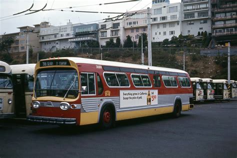 SF MUNI GMC Fishbowl | Fish bowl, New bus, Wellness design