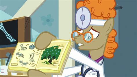 Image - Dr. Horse shows pictures of Swamp Fever S7E20.png | My Little Pony Friendship is Magic ...